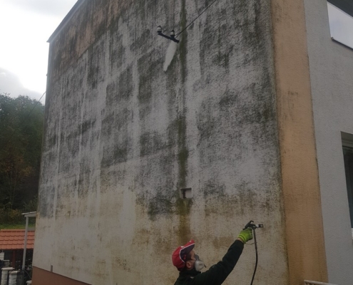 Pleseň na fasáde domu