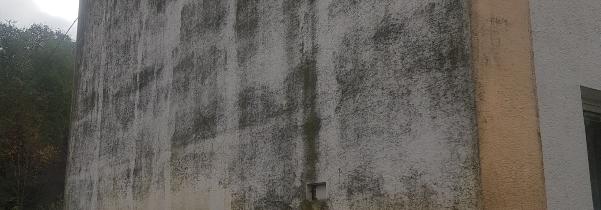 pleseň na fasáde domu