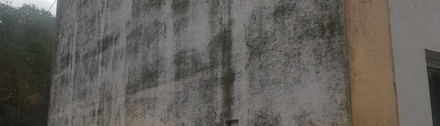 pleseň na fasáde domu