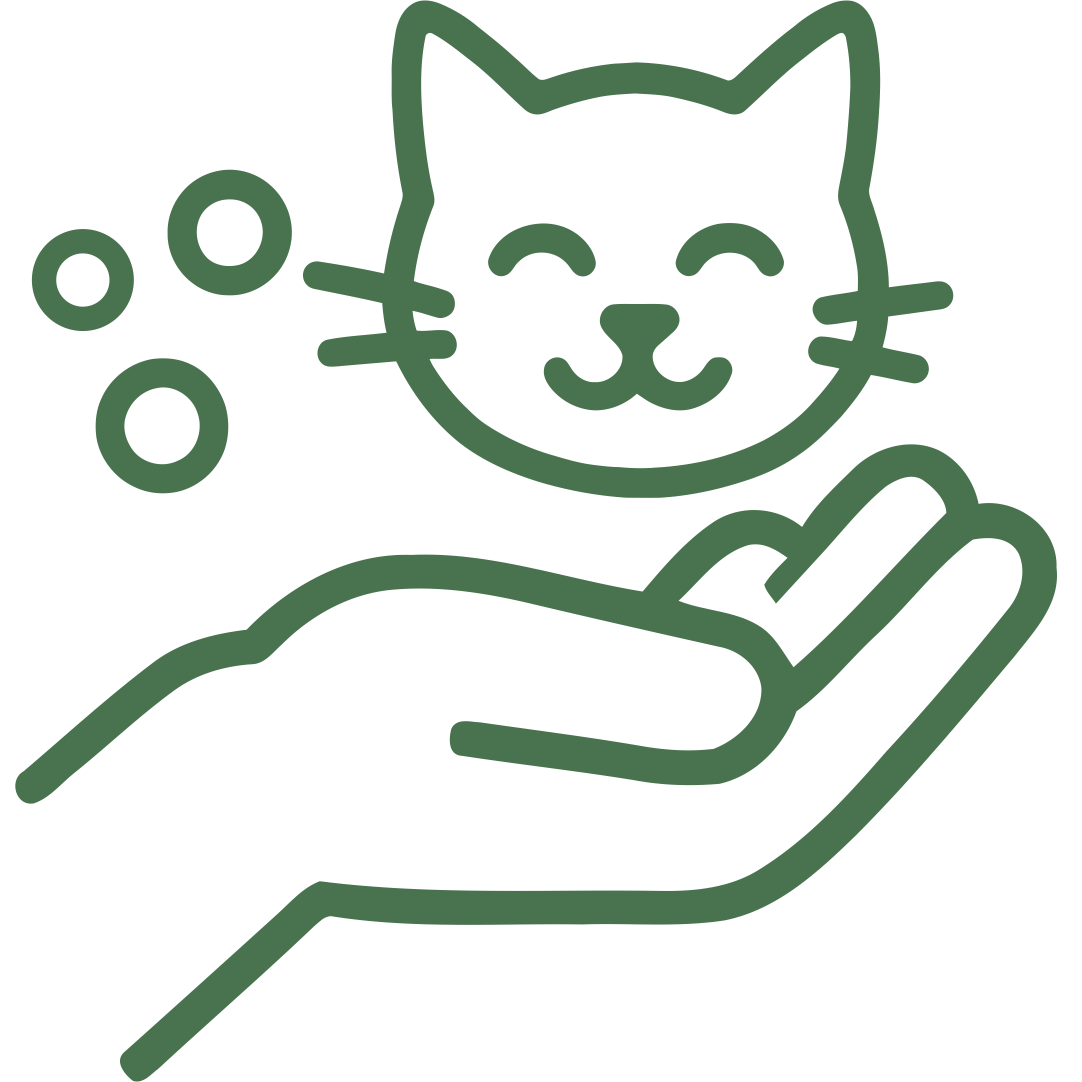 Starostlivosť o domáce zvieratá