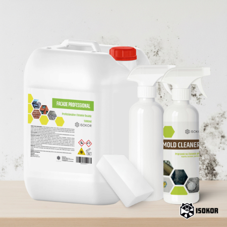 odstránenie plesní