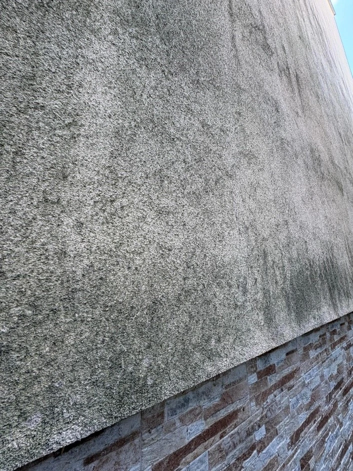 Obrázok5_detailna_fotografia_rias_machov_plesne_na_vlhkej_fasade Detailná fotografia rias, machov a plesne na vlhkej fasáde